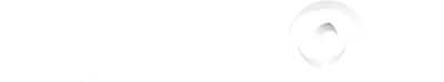 Sapientt Transparent Logo - Human Capital and Performance